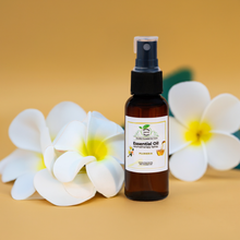 Load image into Gallery viewer, Essential Oil Mist Body Spray 1.7 oz