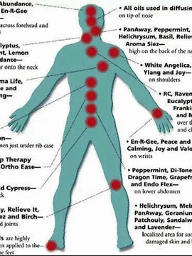 Essential Oil and Candle Making Workshops